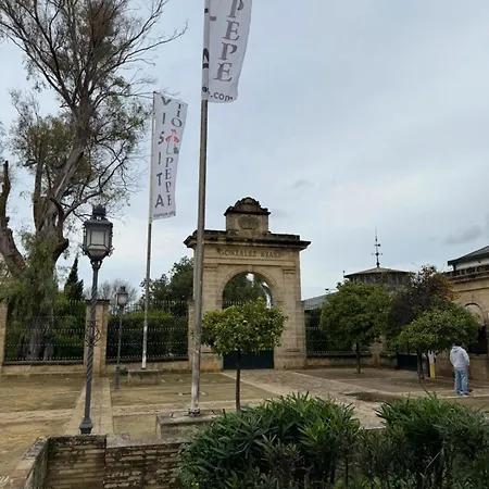 Bf Jerez
